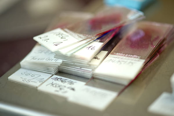 Pathologie Bad Berka